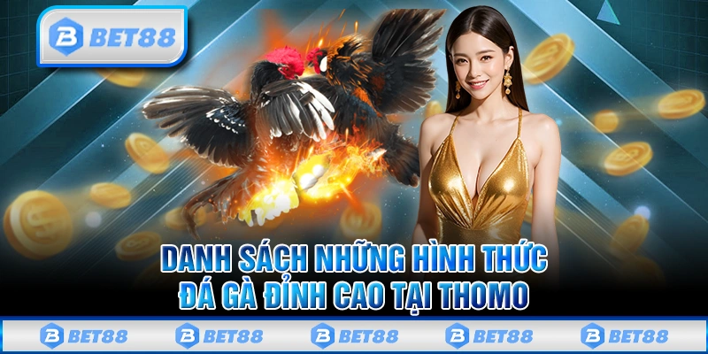 Đá Gà Thomo - Giải Trí Kịch Tính Và Độc Đáo Trên Nhà Cái Bet88 3 Tổng quan về các loại hình đá gà Thomo thông dụng
