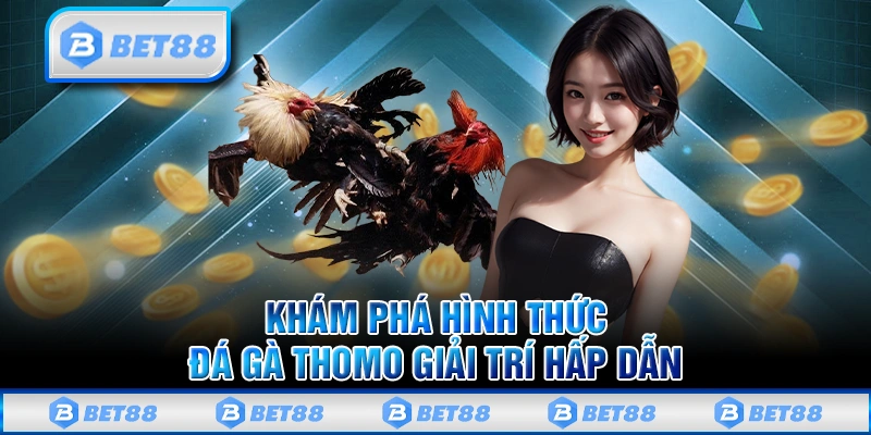 Đá Gà Thomo - Giải Trí Kịch Tính Và Độc Đáo Trên Nhà Cái Bet88 4 Đá Gà Thomo - Giải Trí Kịch Tính Và Độc Đáo Trên Nhà Cái Bet88