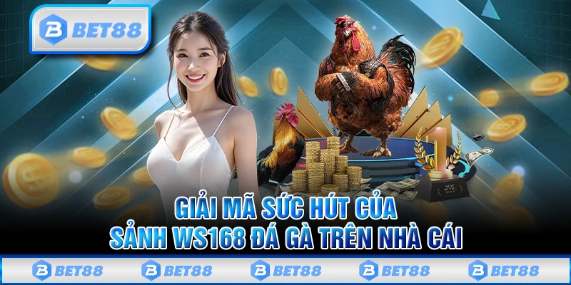 Tại sao sảnh đá gà WS168 lại được ưa chuộng tại BET88?
