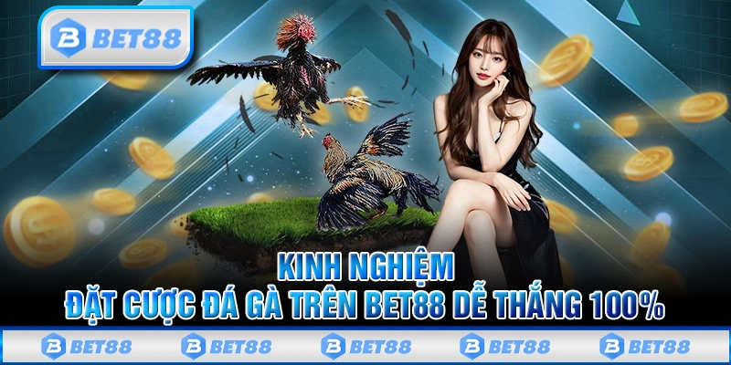 Kinh nghiệm đặt cược đá gà trên Bet88 dễ thắng 100%